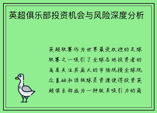 英超俱乐部投资机会与风险深度分析